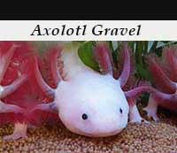 Axolotl Gravel