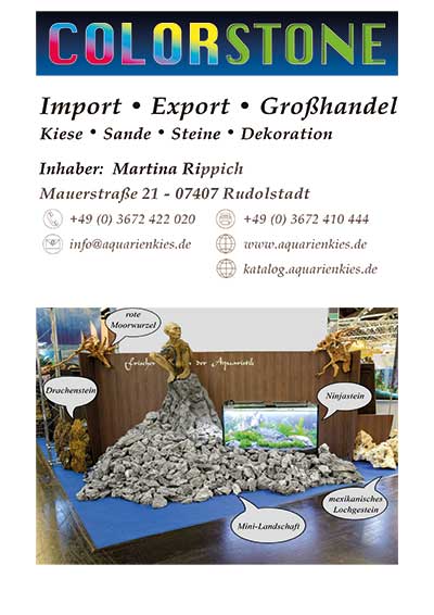 Main Catalogue Colorstone