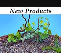 New Products