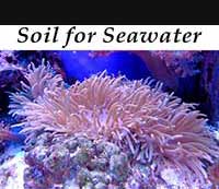 Soil for Seawater Aquariums