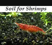 Soil for Shrimps