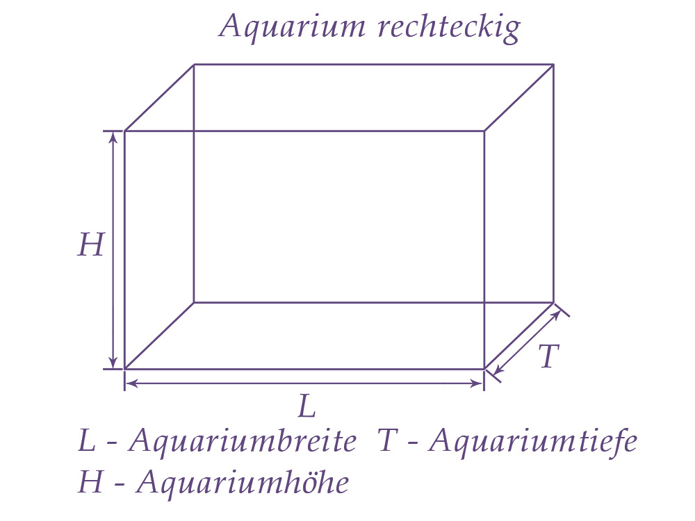 Rechteck Aquarium